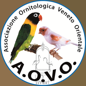 Logo AOVO1